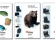 schlagheck-design-luggage-printmedia-design-hofbauer-catalog
